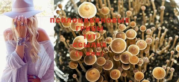 синтетический гашиш Алексеевка