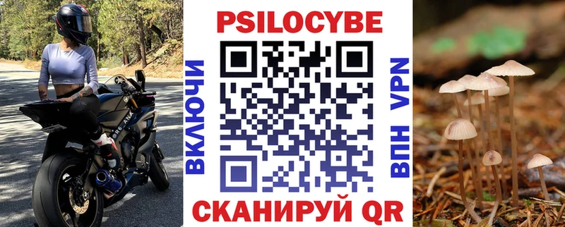 Псилоцибиновые грибы MAGIC MUSHROOMS  хочу наркоту  Всеволожск 