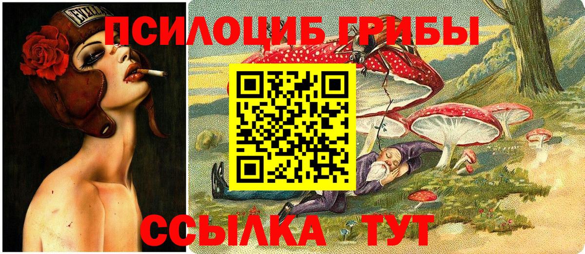 Галлюциногенные грибы мицелий Всеволожск